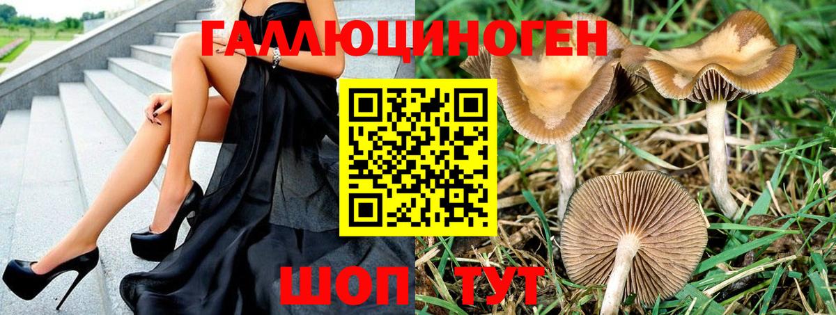 Галлюциногенные грибы MAGIC MUSHROOMS  Вход с VPN  Ногинск 