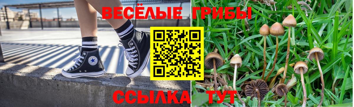 Галлюциногенные грибы мухоморы Ногинск